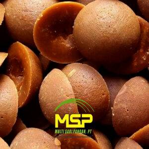 Gula kelapa cetak berkualitas diolah di Multi Sari Pangan
