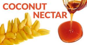 Coconut Nectar Sugar