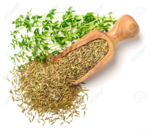 Thyme merupakan tanaman herbal.